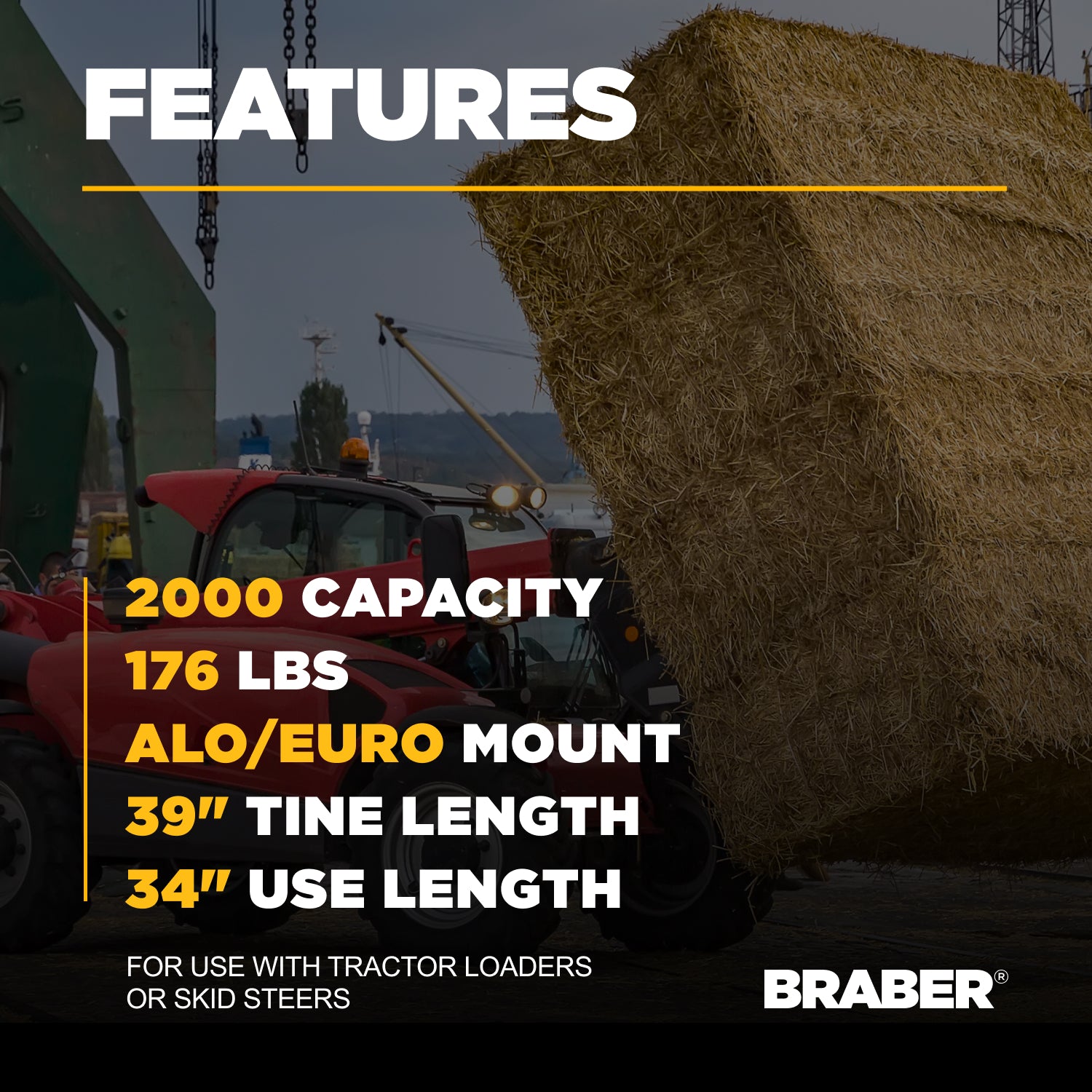Euro/ALO Double-Prong Bale Spear 39" – BE-BSD39EUROG-4