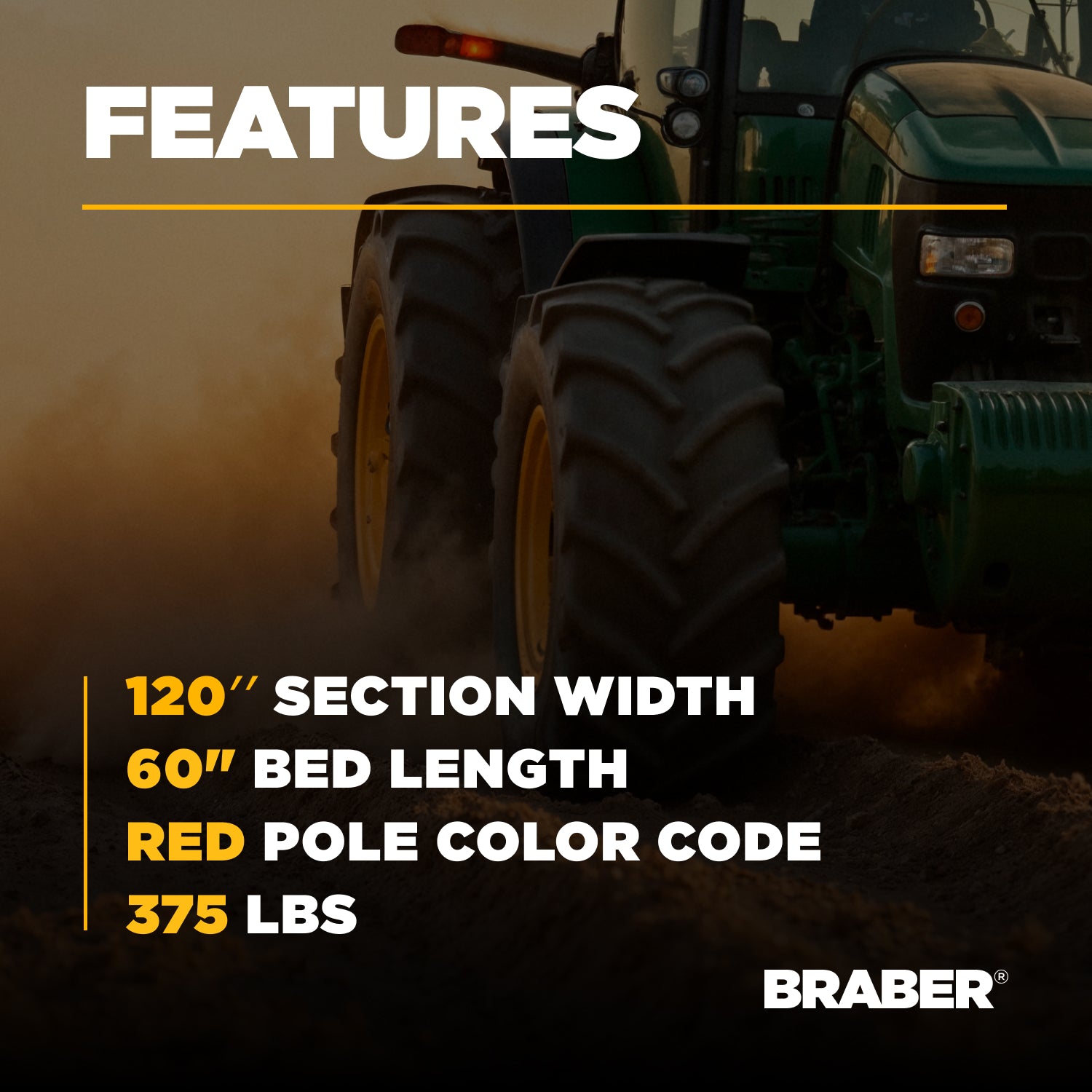 Chain Harrow with Pole, 10', 1/2"-zoom-4