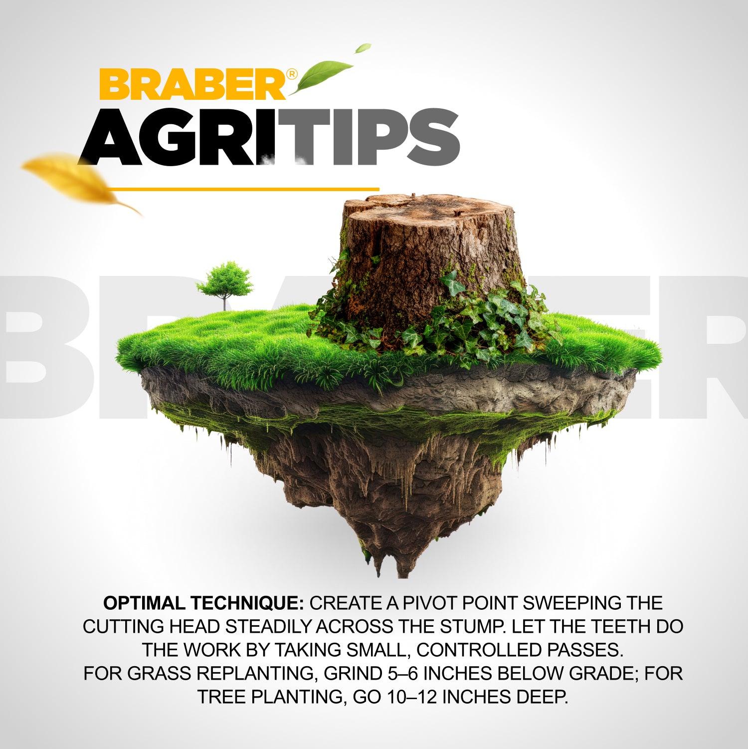 BRABER Carbide Tipped Stump Grinder-zoom-8