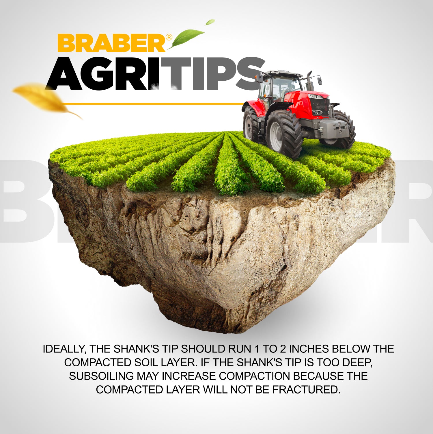 1-Shank Subsoiler 22" Depth up to 40 HP – SS1RN-5