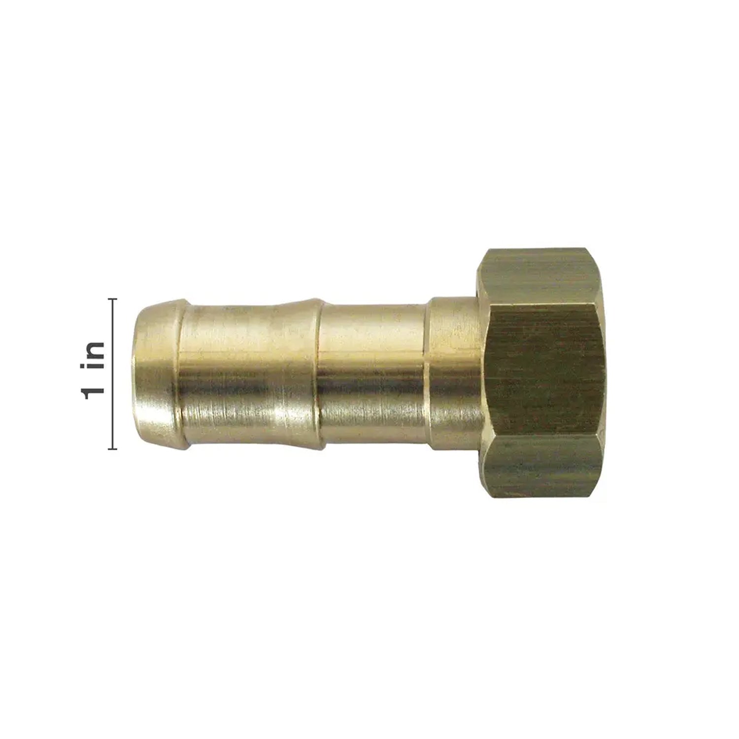 1" FBSP x 1" Barb Brass Hose Fitting