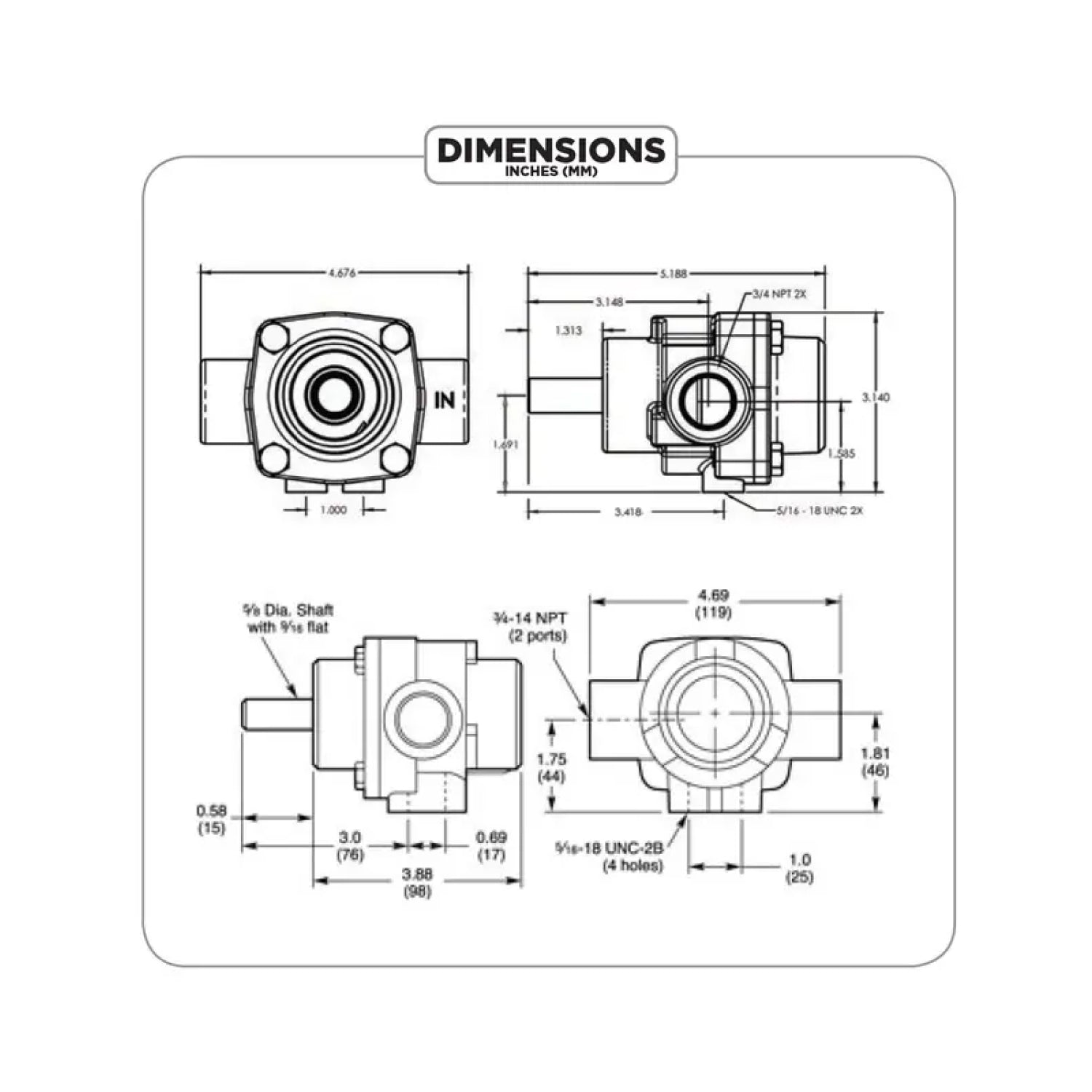 Cast Iron Pump, CW Rotation-2