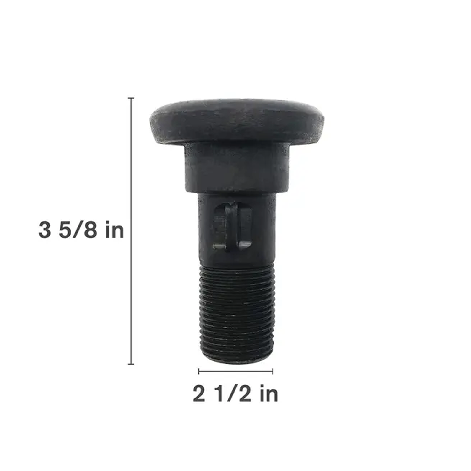 Bolt-1