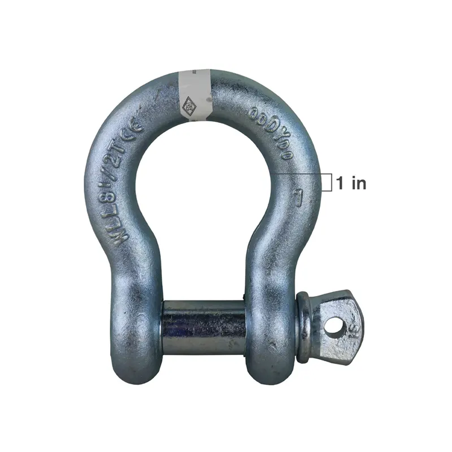 1" Shackle Anchor